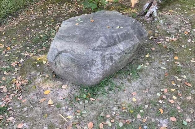 ǾĹЧǾĹЧͽ
