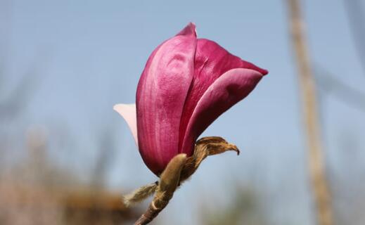 ӢQȾҕܓp,Ӣ(gu)Ⱥwָʲô